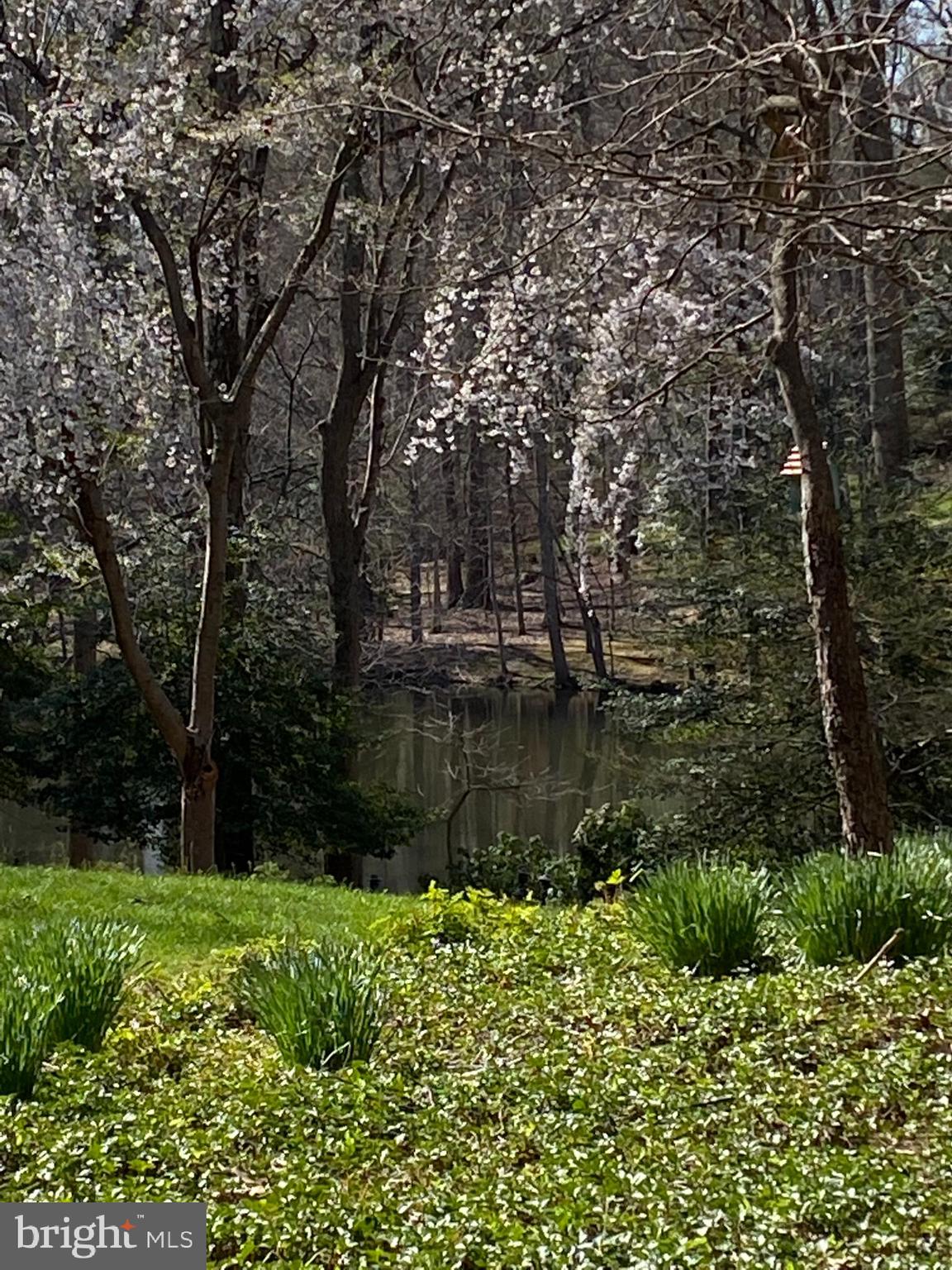 Vale Spring Drive Oakton, VA 22124 - Photo 4 of 10