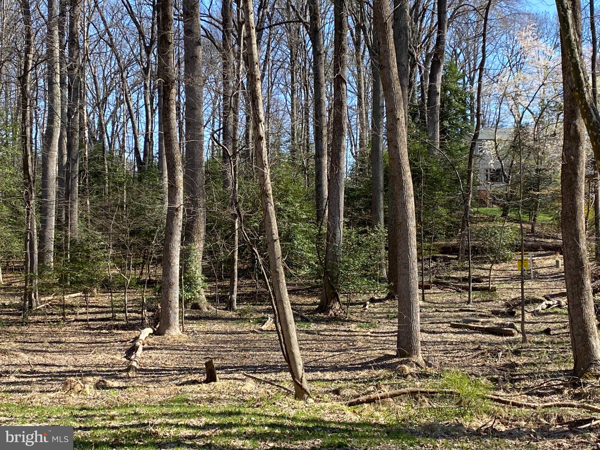 Vale Spring Drive Oakton, VA 22124 - Photo 5 of 10