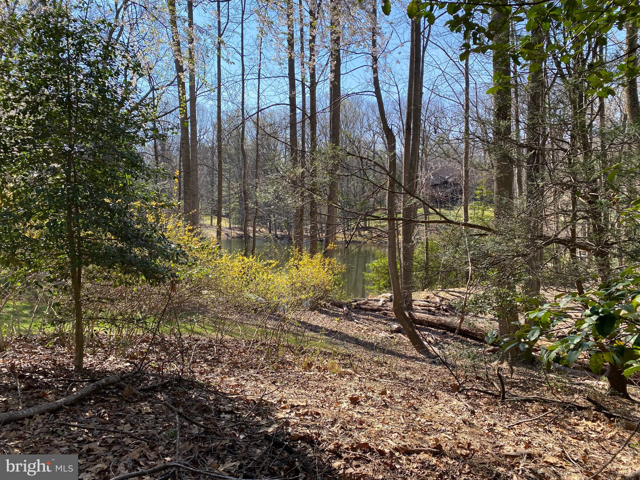 Vale Spring Drive Oakton, VA 22124 - Photo 6 of 10