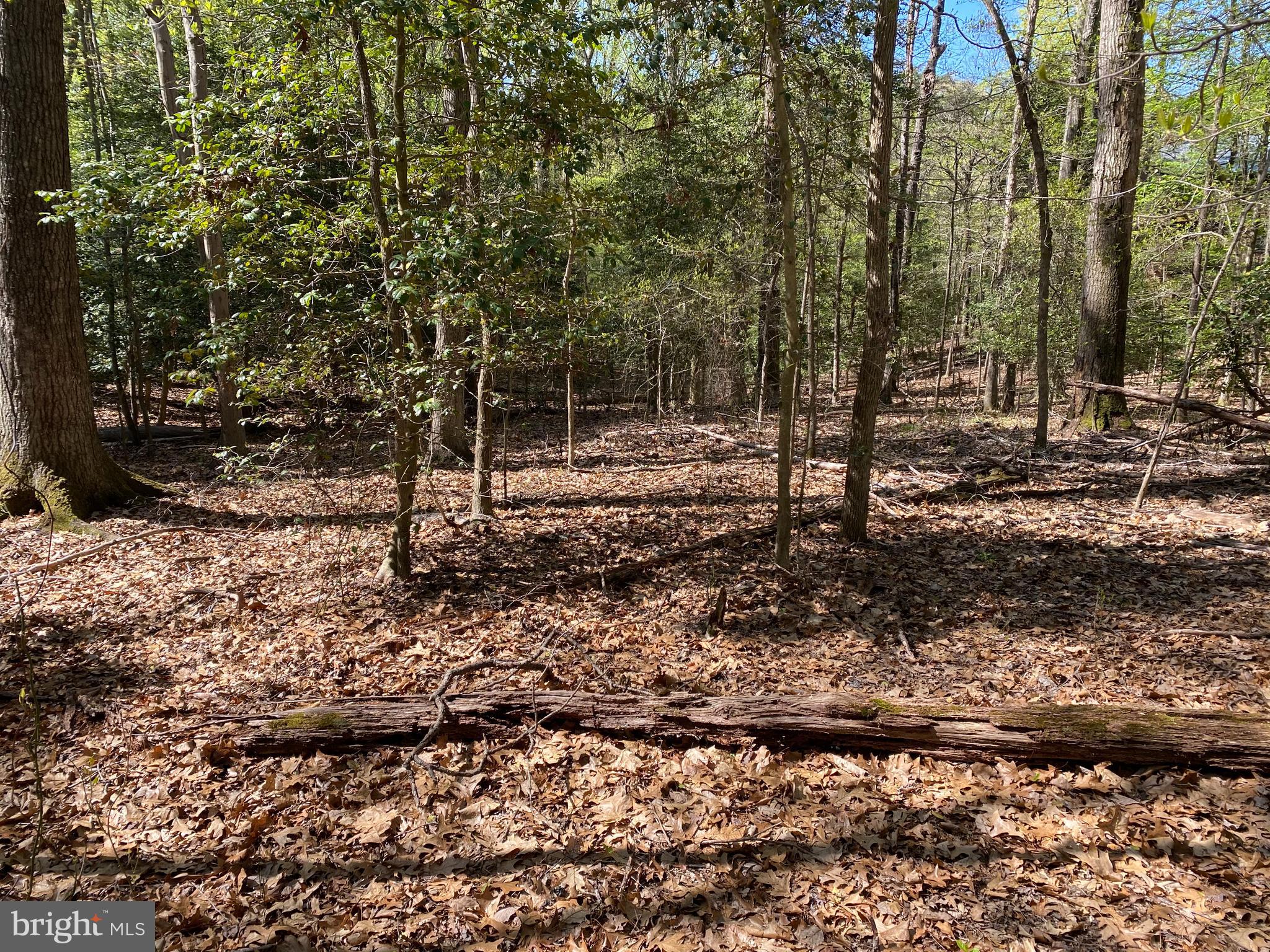 Vale Spring Drive Oakton, VA 22124 - Photo 10 of 10