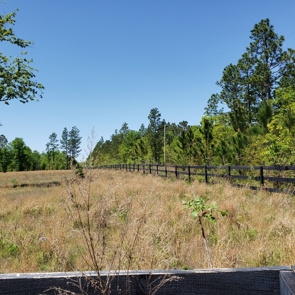 1604 Oak Ridge Club Road Windsor, SC 29856 - Photo 3 of 6