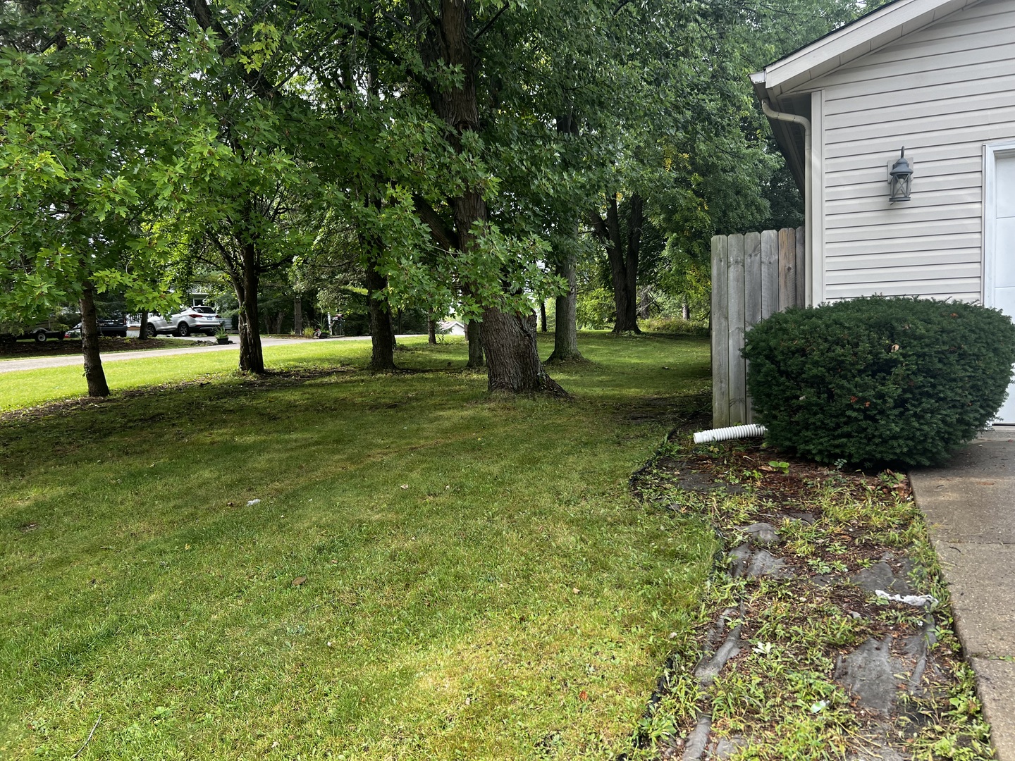 303 Minnesota Drive Dixon, IL 61021 - Photo 34 of 34 a view of a backyard with large trees