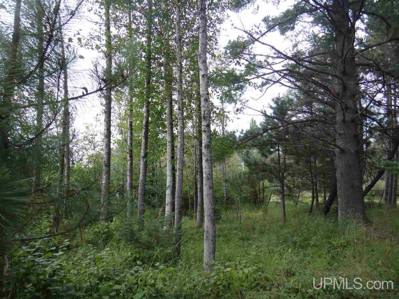 Tbd South Shore Road, Unit 14 Crystal Falls, MI 49920 - Photo 7 of 13 Gallery Image 7