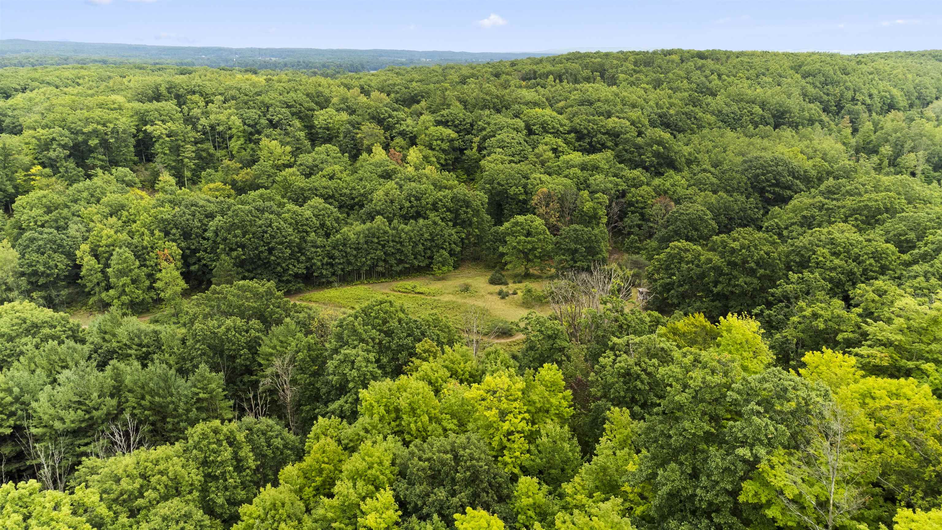 9 9 Mile Road Kingsley, MI 49649 - Photo 13 of 66