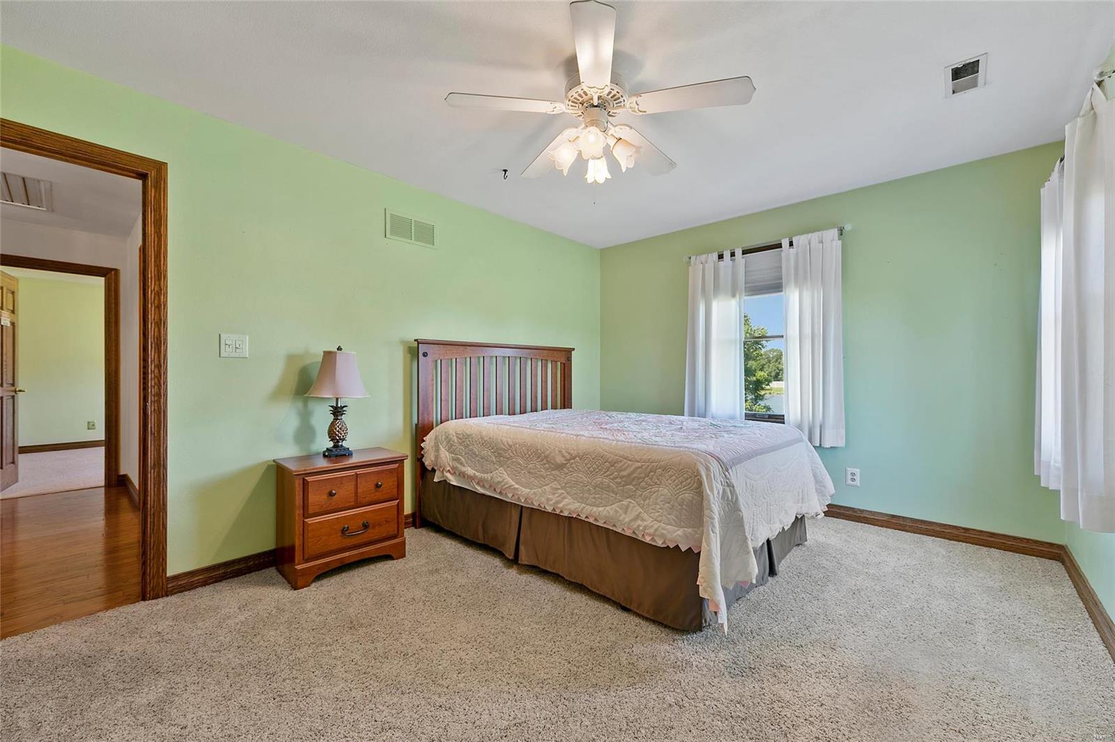 3854 Lower Saxtown Road Waterloo, IL 62298 - Photo 29 of 91