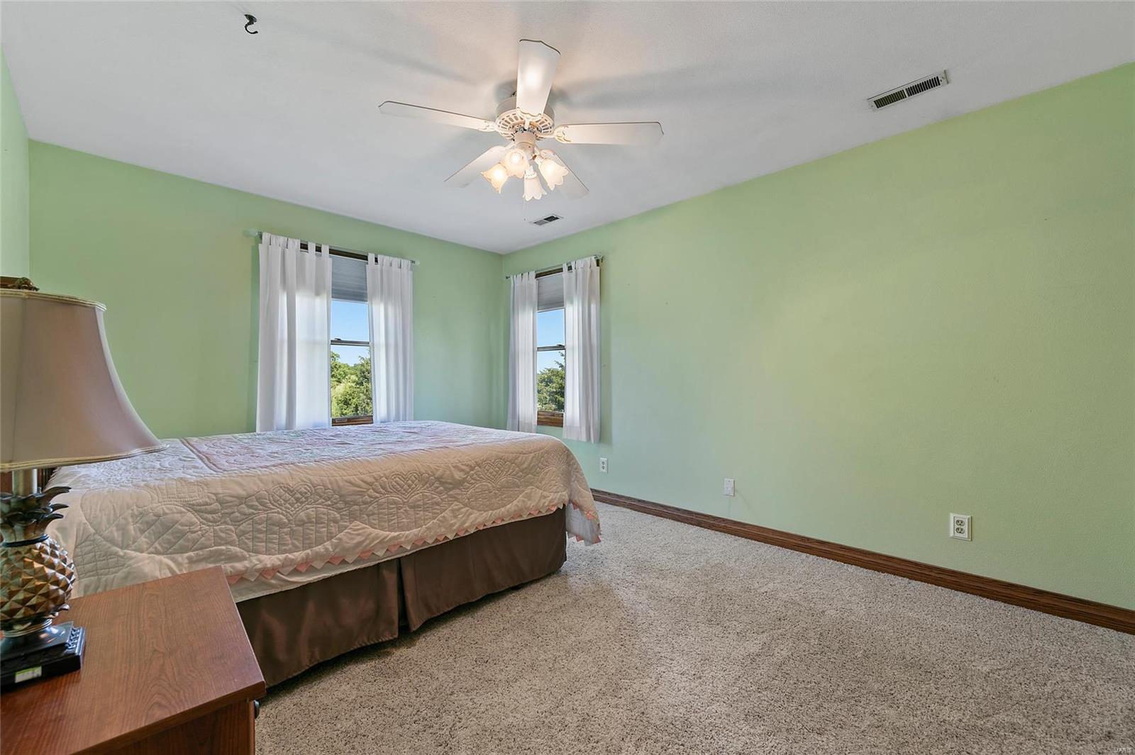 3854 Lower Saxtown Road Waterloo, IL 62298 - Photo 30 of 91