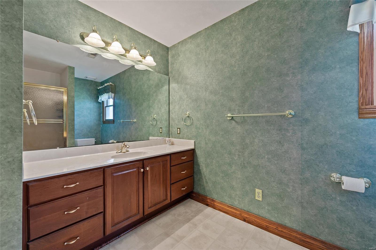 3854 Lower Saxtown Road Waterloo, IL 62298 - Photo 32 of 91
