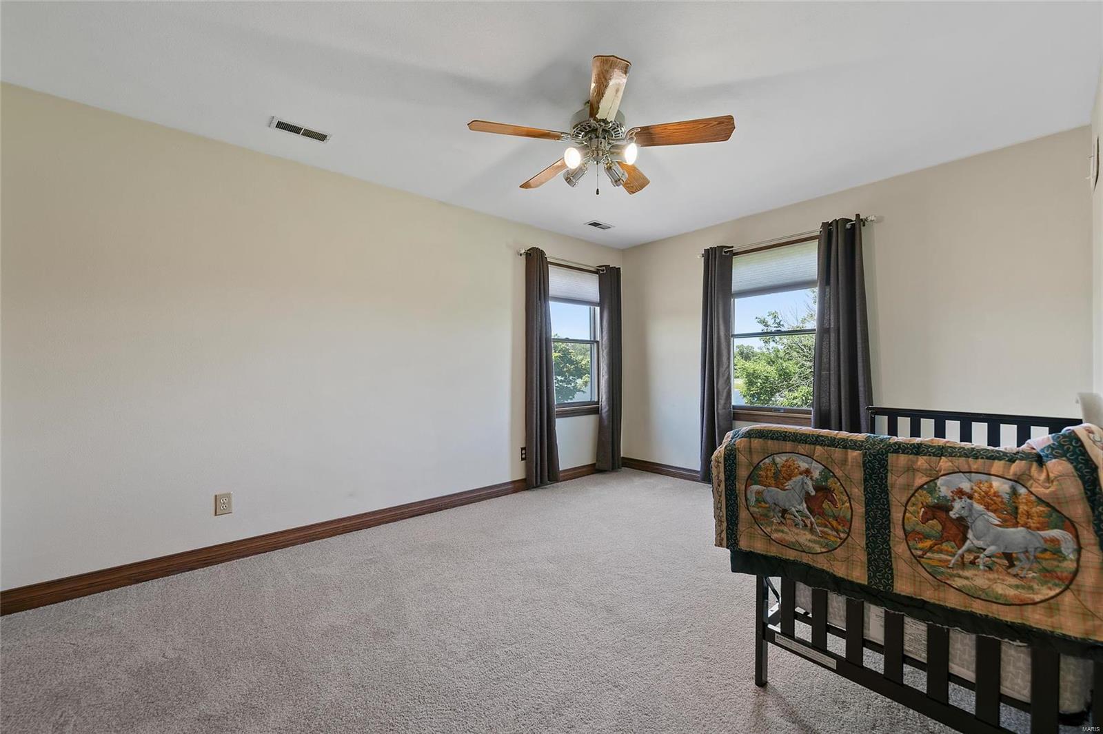 3854 Lower Saxtown Road Waterloo, IL 62298 - Photo 33 of 91