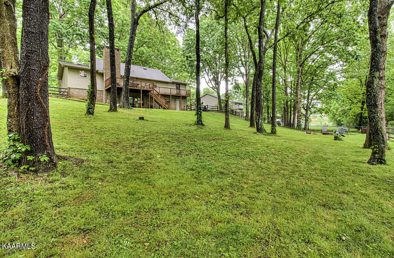329 Candora Road Maryville, TN 37804 - Photo 43 of 43 Gallery Image 43
