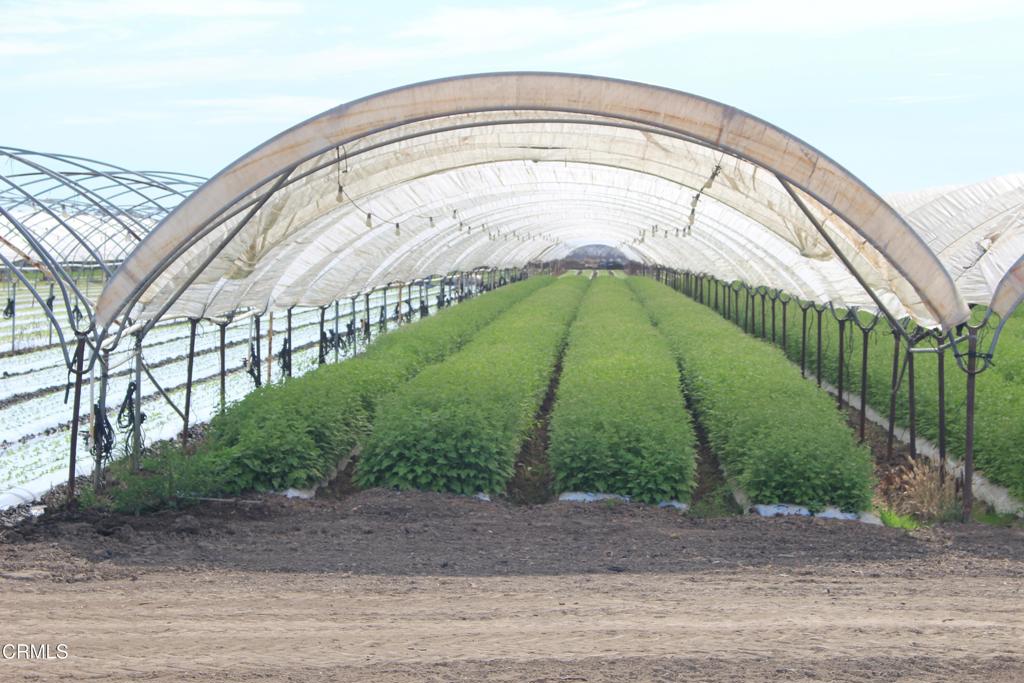 a view of a palm trees front of a house
