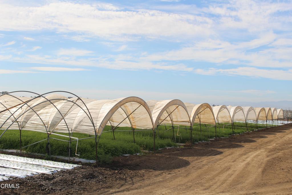 0 Wood Road Camarillo, CA 93033 - Photo 5 of 17 a view of swimming pool with a yard and plants