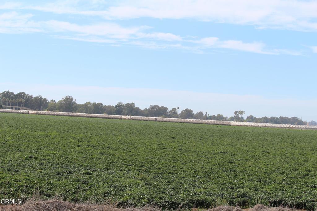0 Wood Road Camarillo, CA 93033 - Photo 6 of 17 a view of a lake from a yard