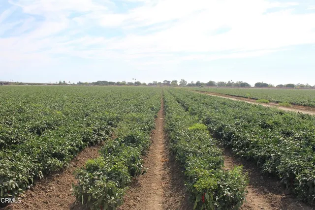 $34,995,000 | 0 Wood Road, Camarillo, CA 93033