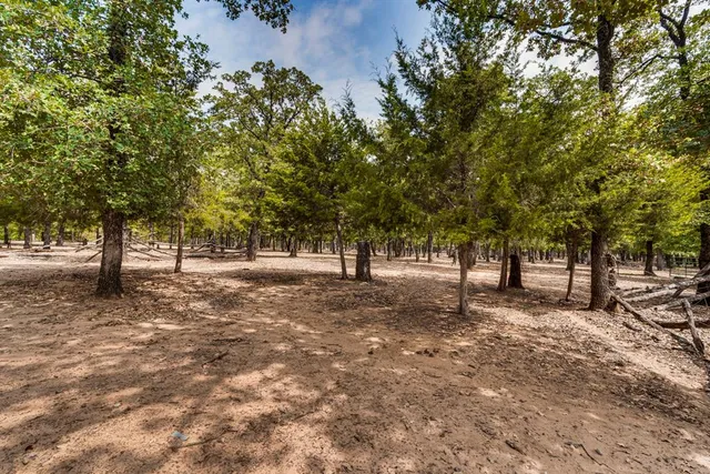 a backyard of a house with large trees and parked