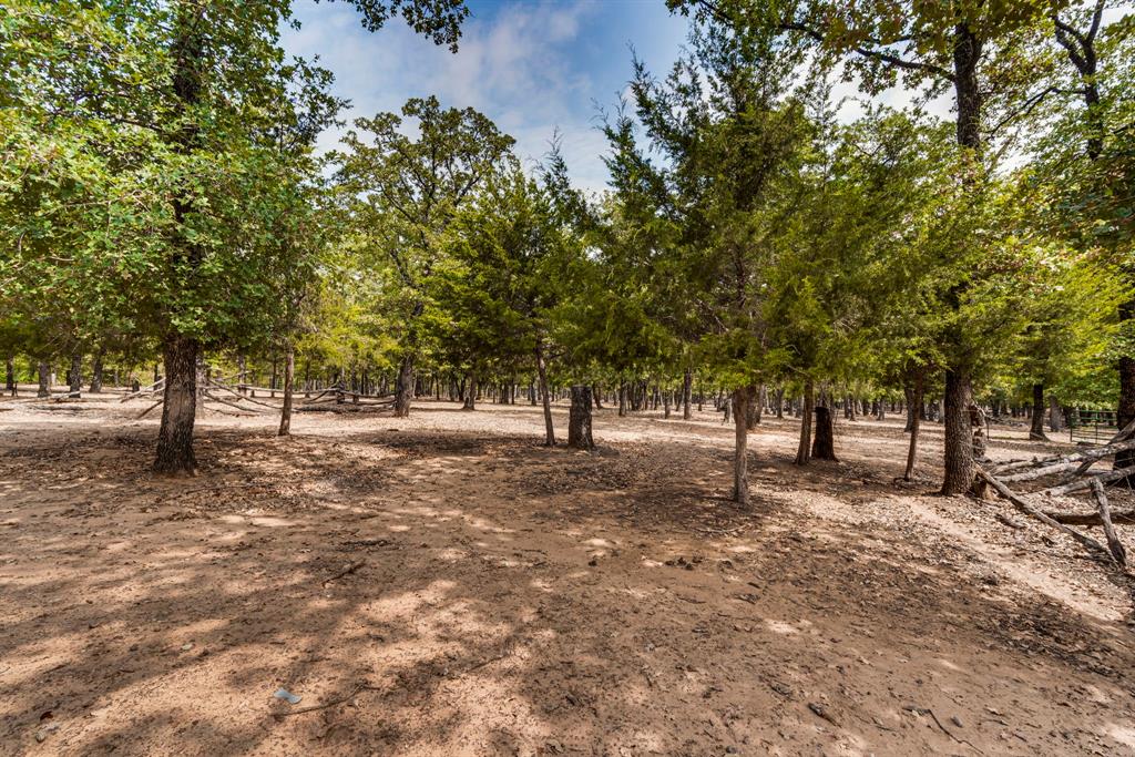 7251 Bennett Lawson Road Mansfield, TX 76063 - Photo 23 of 34 a view of a tree in the middle of a yard