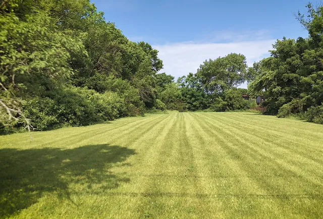 a view of a yard with an outdoor space