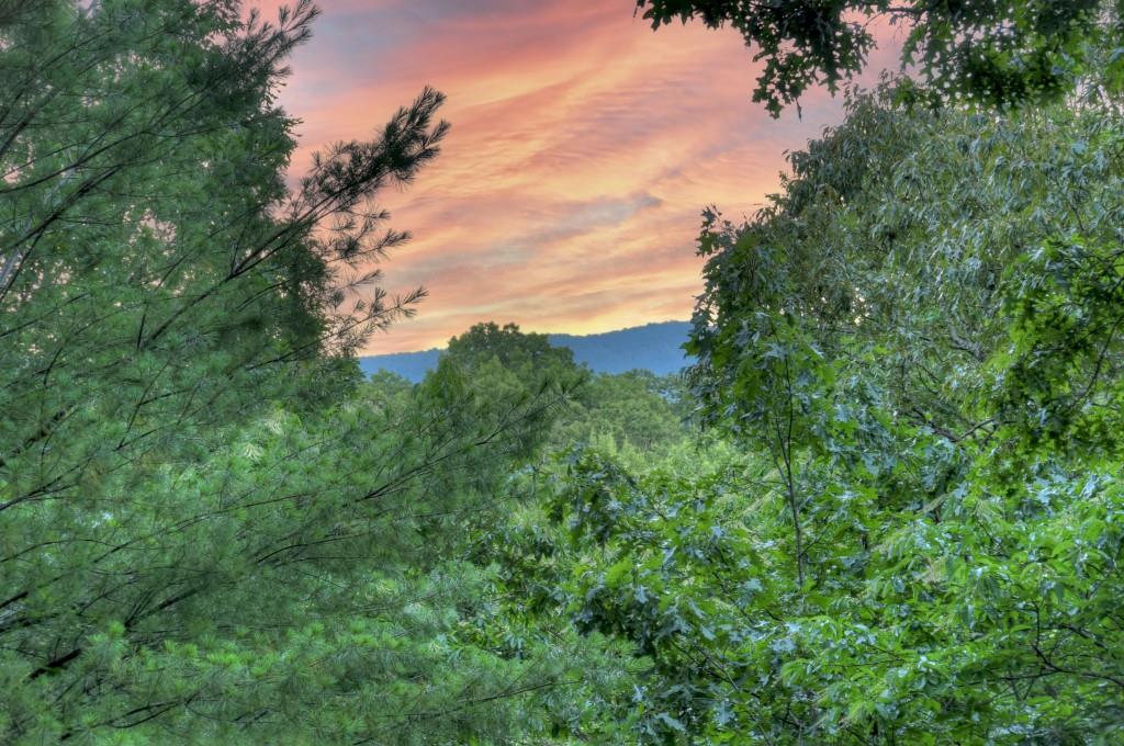 97 Doyle Carder Parkway Blue Ridge, GA 30513 - Photo 27 of 49 a view of a green field