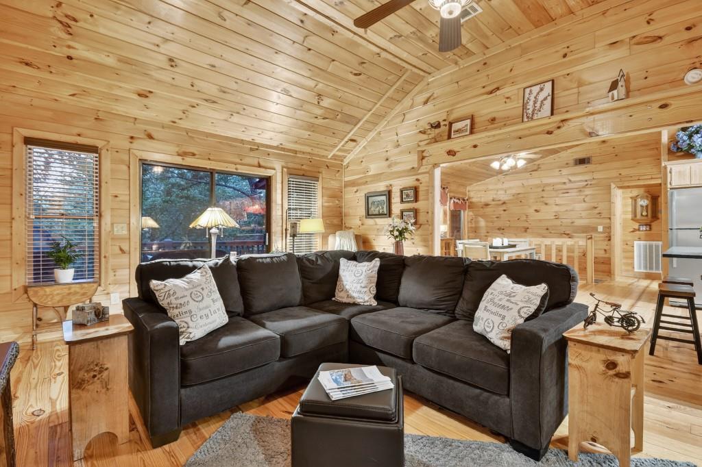 97 Doyle Carder Parkway Blue Ridge, GA 30513 - Photo 10 of 49 a living room with furniture and a large window