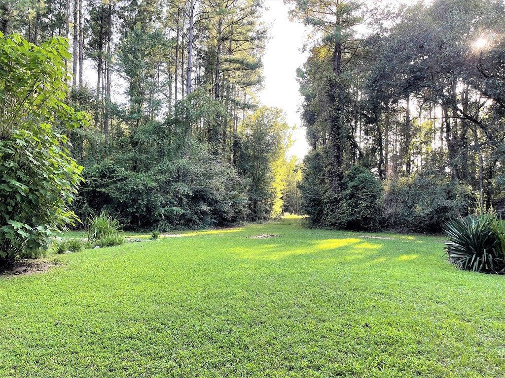 6990 Gilligan Road Sumter, SC 29154 - Photo 2 of 41