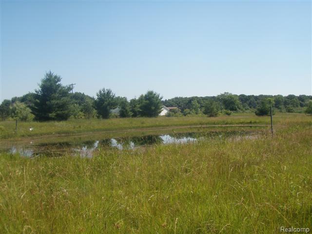 61661 Bates Road New Haven, MI 48048 - Photo 3 of 6 07.08.11 023