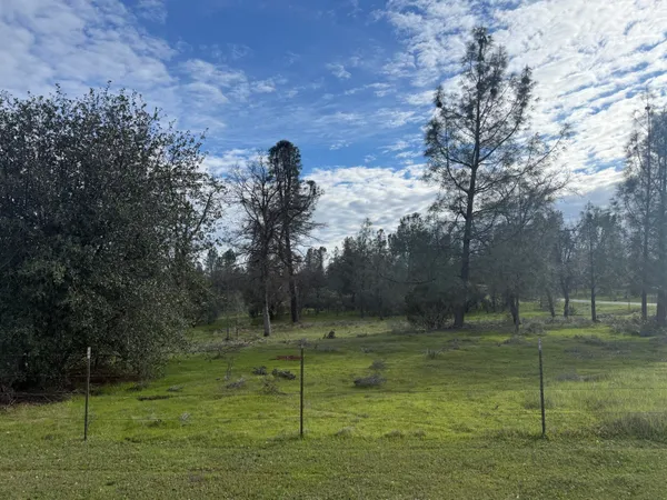 a view of a field