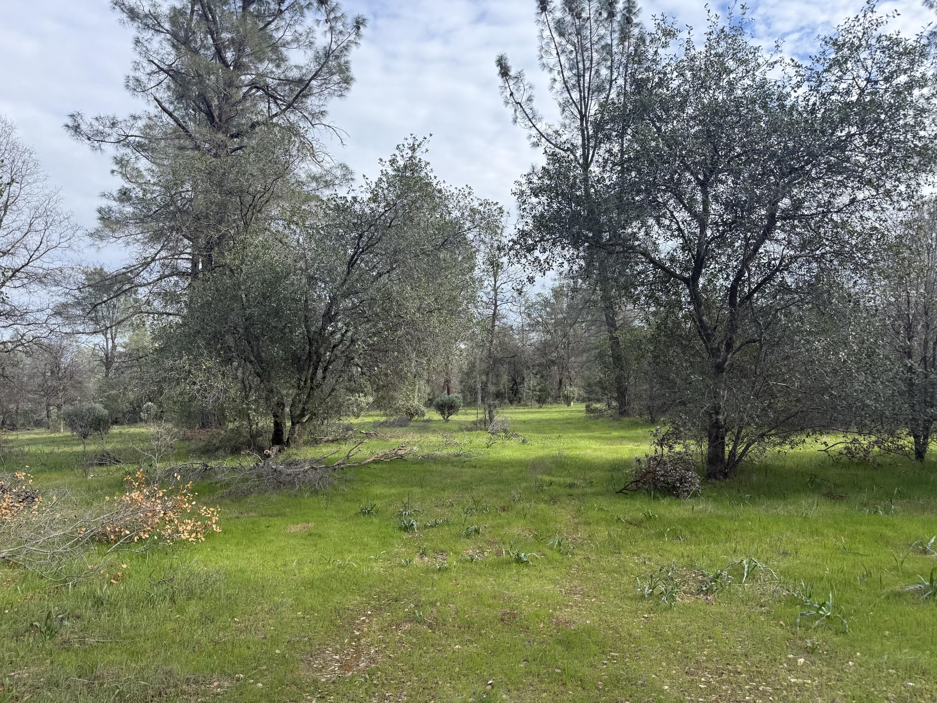 Aegean Way Anderson, CA 96007 - Photo 2 of 12 a view of a park