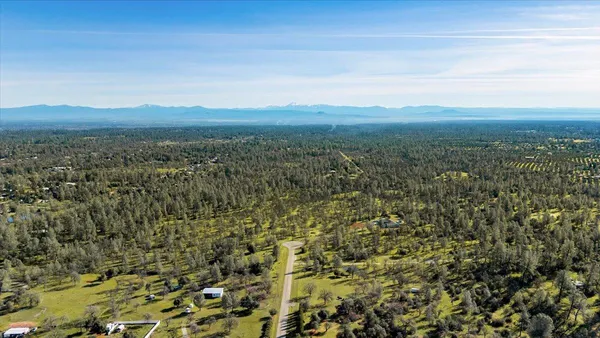 a view of a city with lush green forest