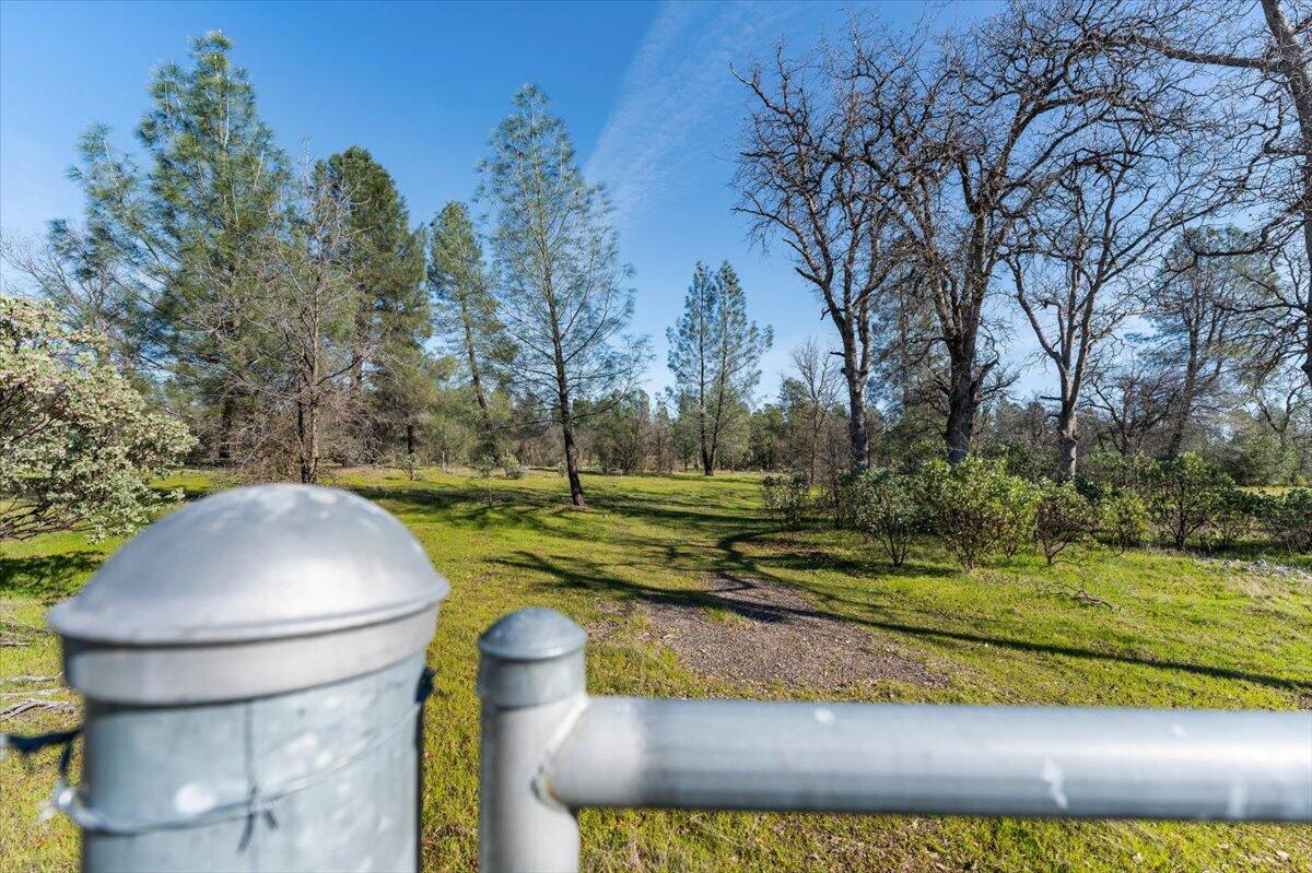 Aegean Way Anderson, CA 96007 - Photo 9 of 12 a view of a yard with large trees