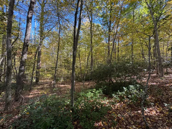 $125,000 | 428 Plains Road, Haddam, CT 06438