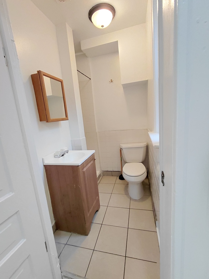 2215 South Albany Avenue, Unit 2F Chicago, IL 60623 - Photo 10 of 11