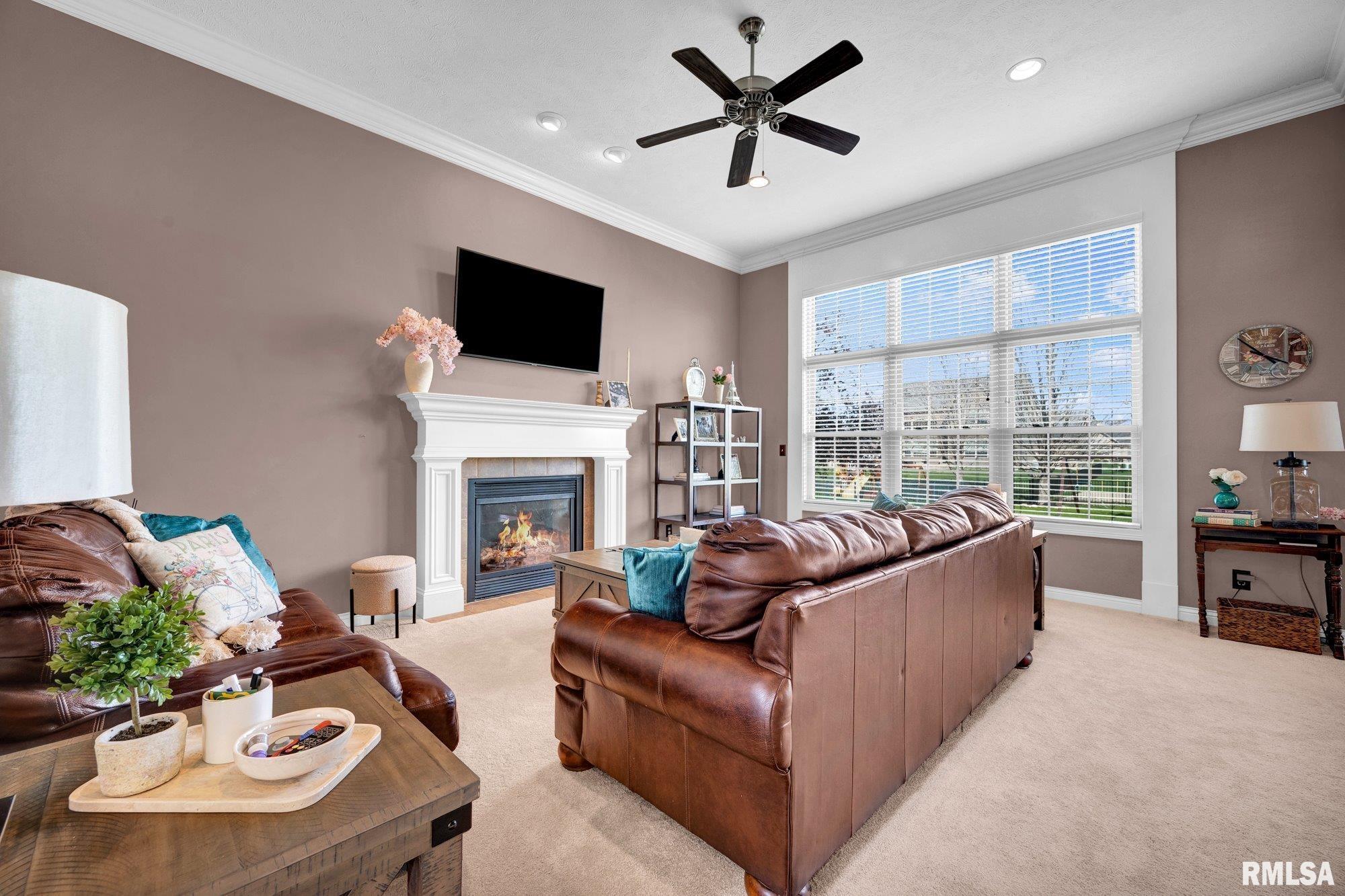 11016 Moonstone Court Dunlap, IL 61525 - Photo 20 of 50