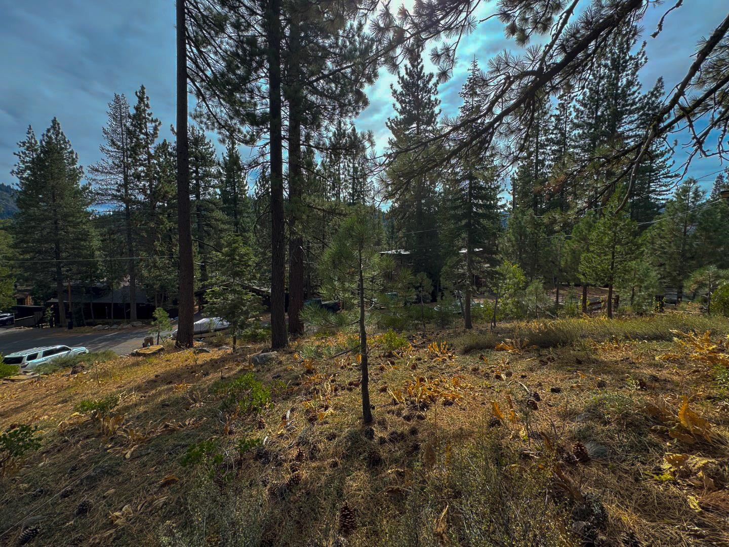 174 Tiger Tail Road Olympic Valley, CA 96146 - Photo 16 of 28 Gallery Image 16