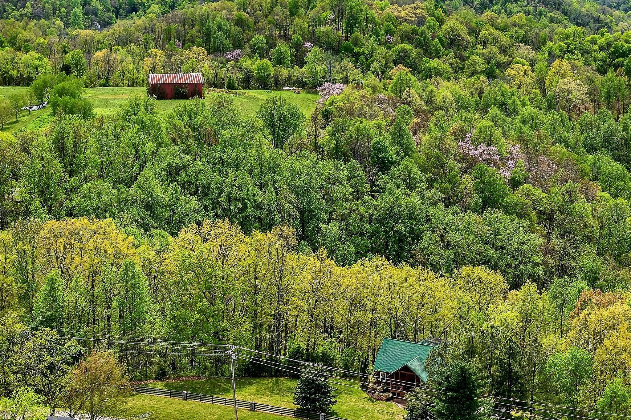 5175 Dale Ridge Road Liberty, TN 37095 - Photo 51 of 64