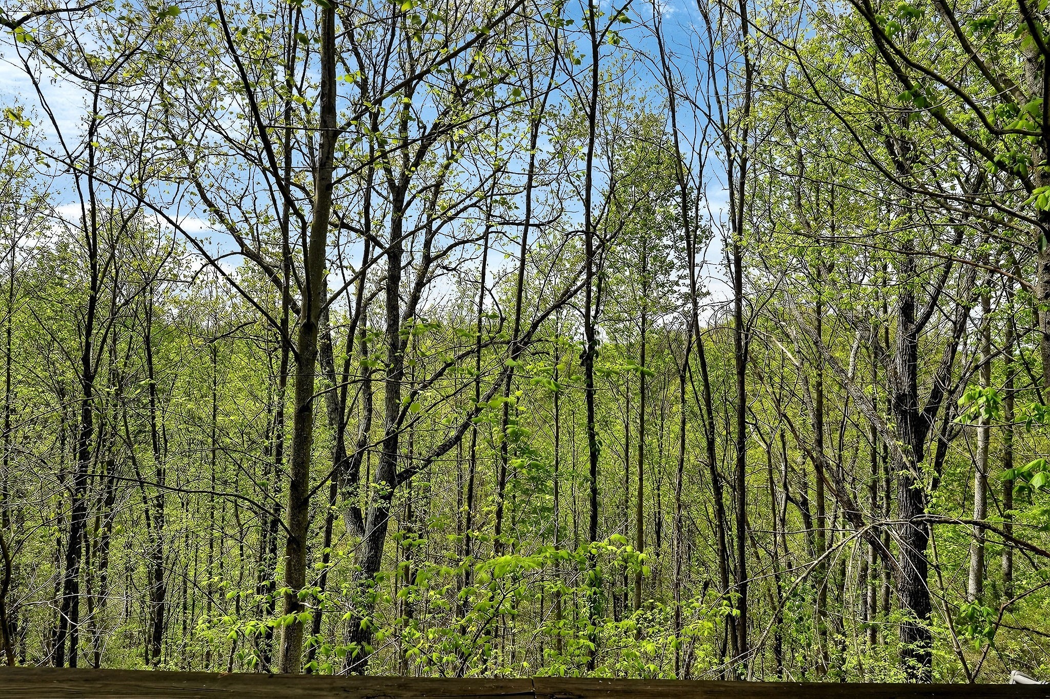 5175 Dale Ridge Road Liberty, TN 37095 - Photo 60 of 64