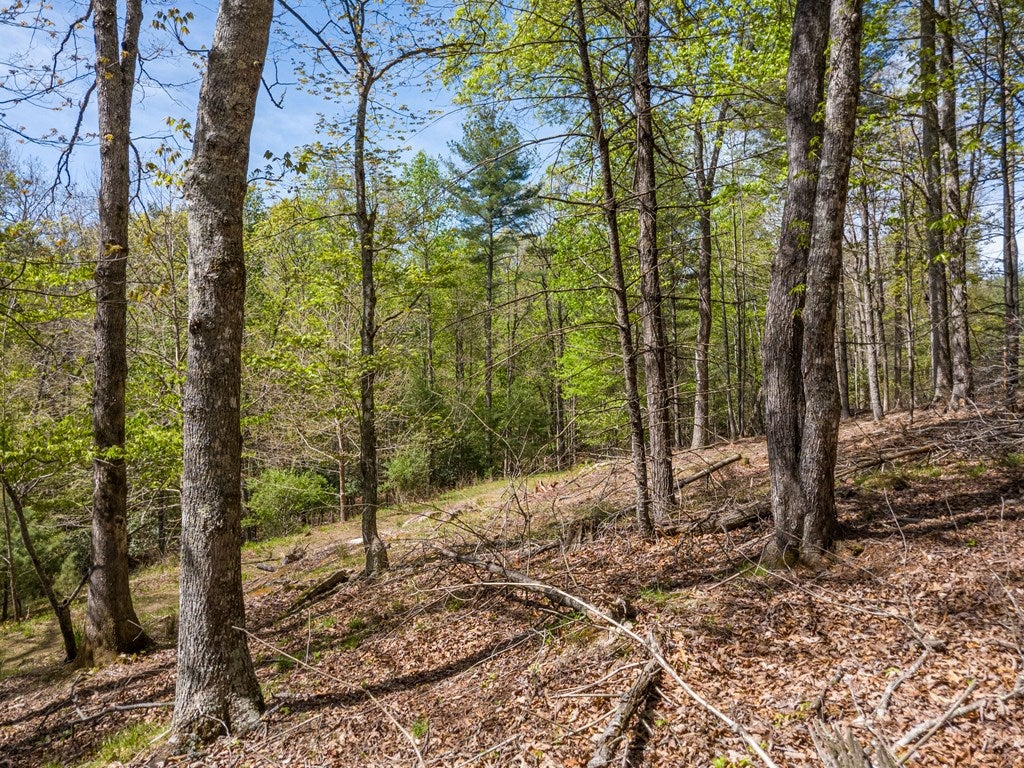 Lot 11 Ridge Line Trail, Unit 11 Independence, VA 24348 - Photo 28 of 40 Gallery Image 28