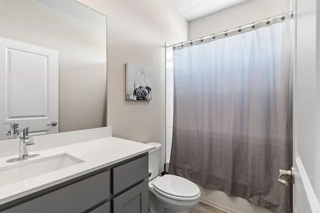 a bathroom with a sink a toilet a mirror and shower curtain