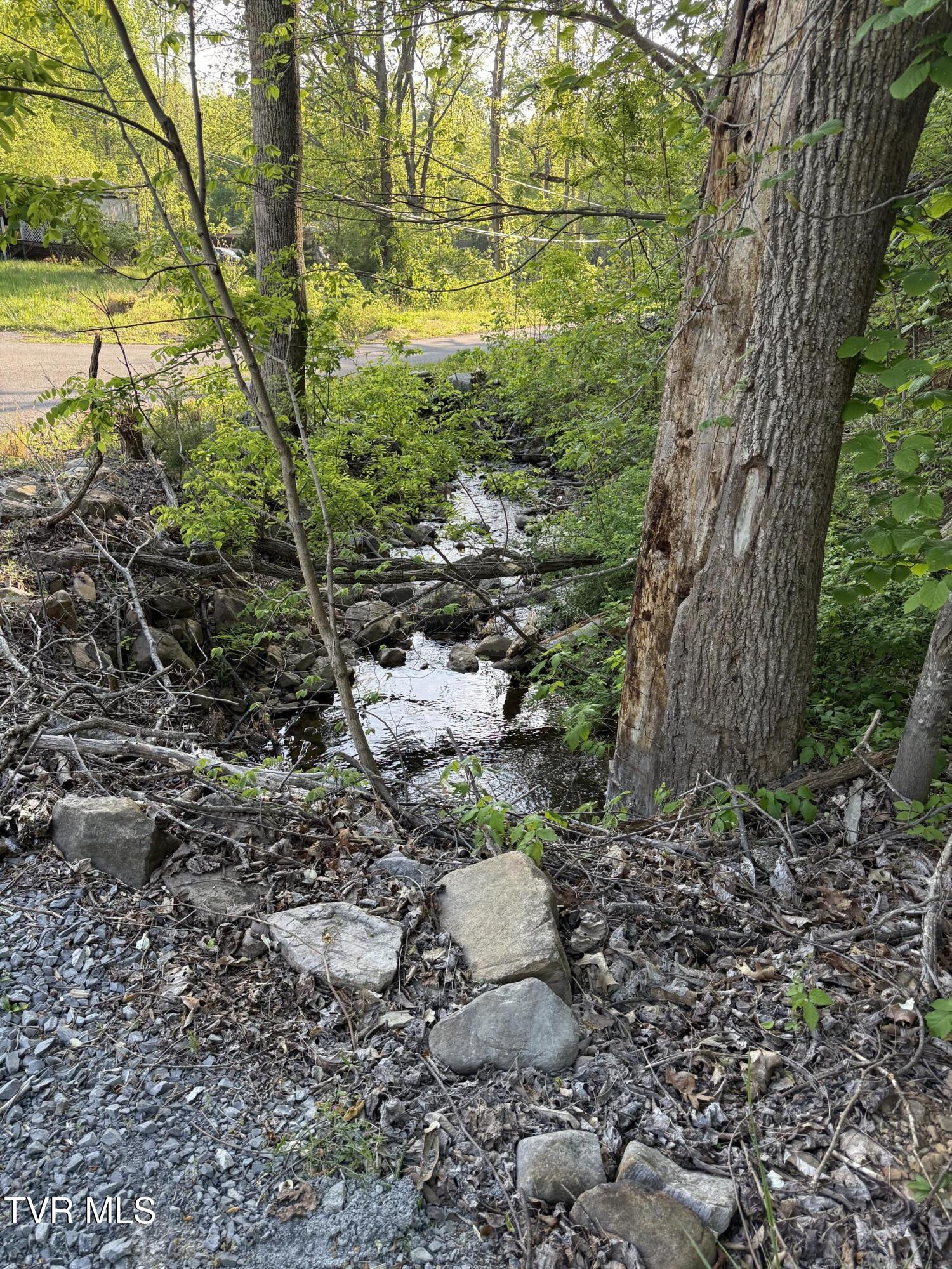 Tbd Bobs Hollow Road, Unit LOT 4 Elizabethton, TN 37643 - Photo 29 of 37 IMG_5266