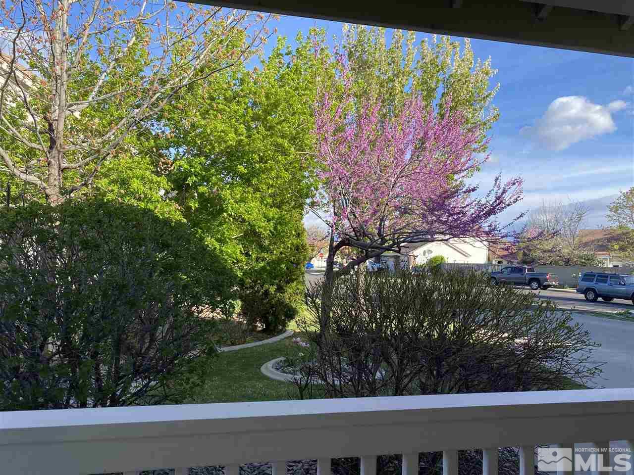 9841 Eastmont Court Reno, NV 89521 - Photo 38 of 38 a view of a yard