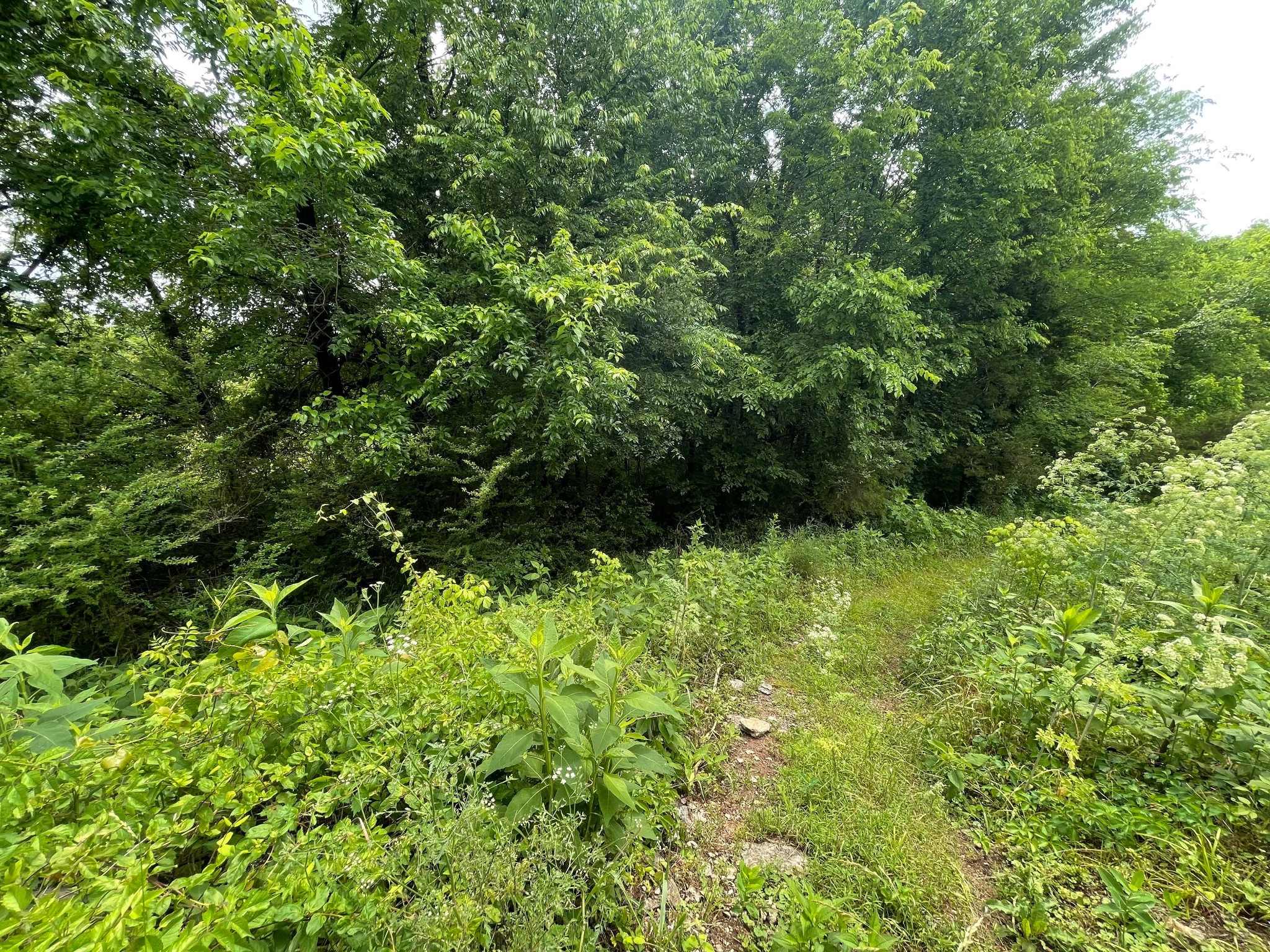 0 West Trimble Road Milton, TN 37118 - Photo 2 of 5 Gallery Image 2