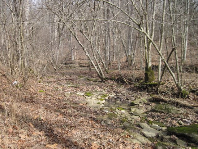 Chapman Road Dry Ridge, KY 41035 - Photo 14 of 19