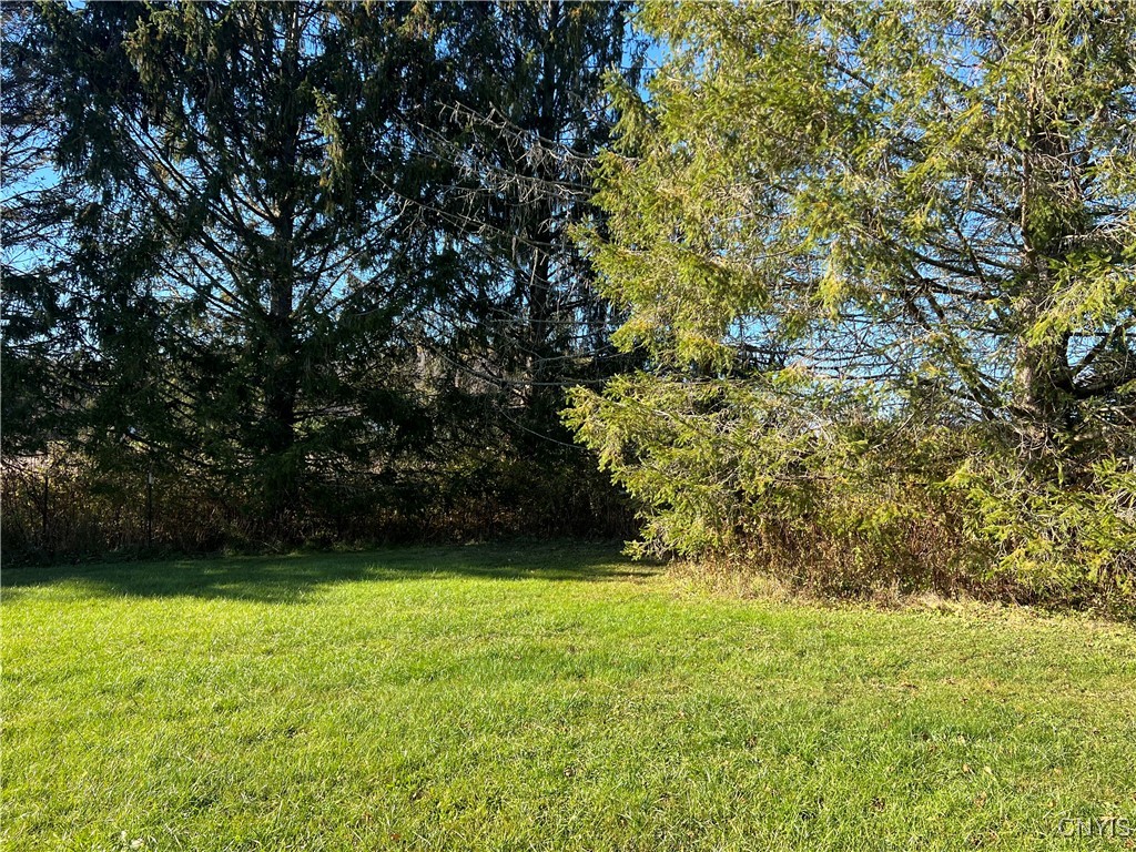 4339 May Road Solon, NY 13040 - Photo 24 of 34