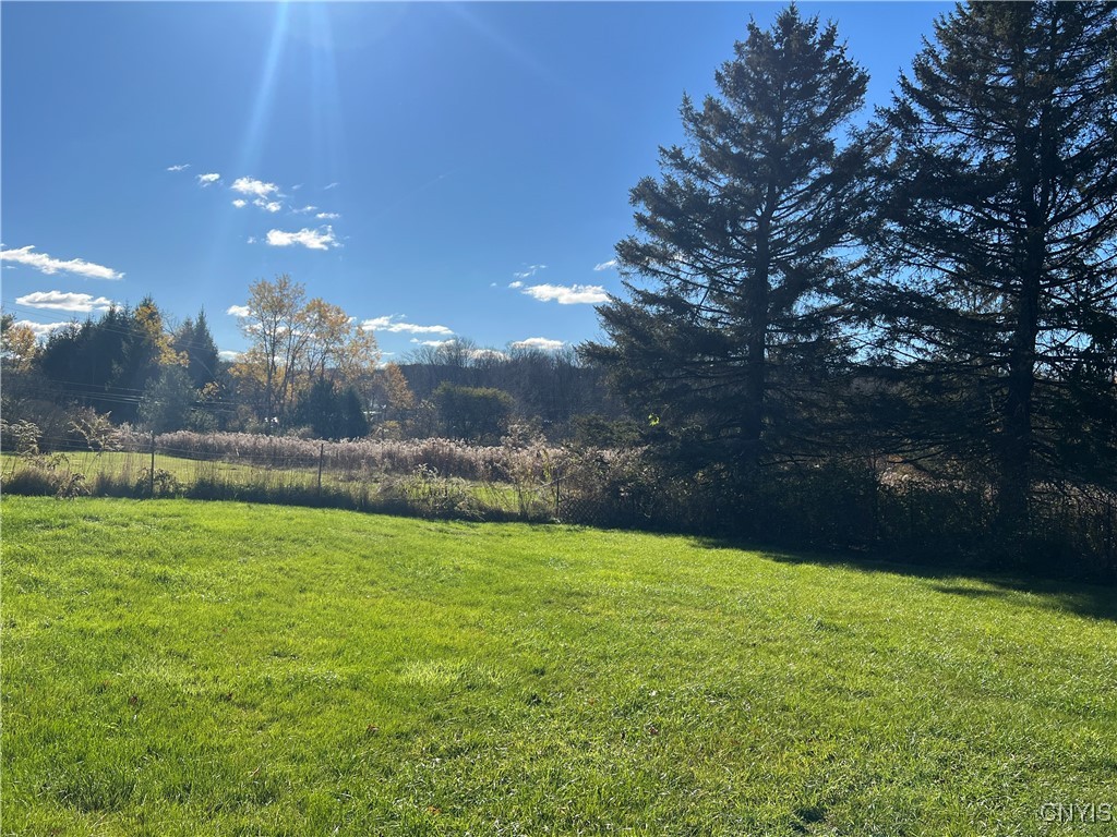 4339 May Road Solon, NY 13040 - Photo 25 of 34