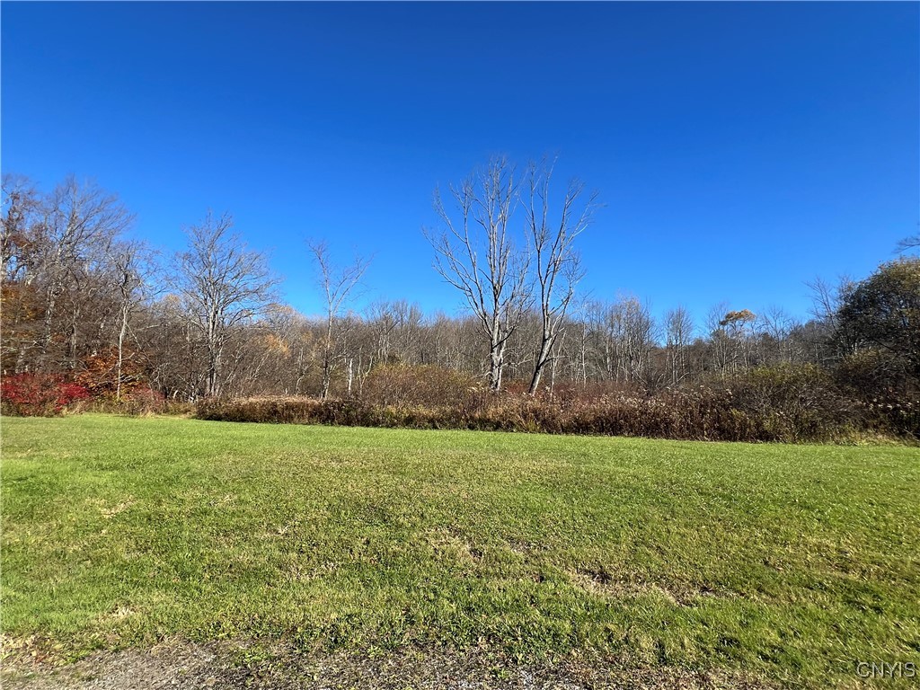 4339 May Road Solon, NY 13040 - Photo 32 of 34