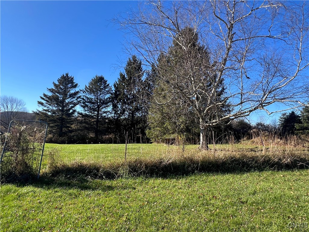 4339 May Road Solon, NY 13040 - Photo 5 of 34