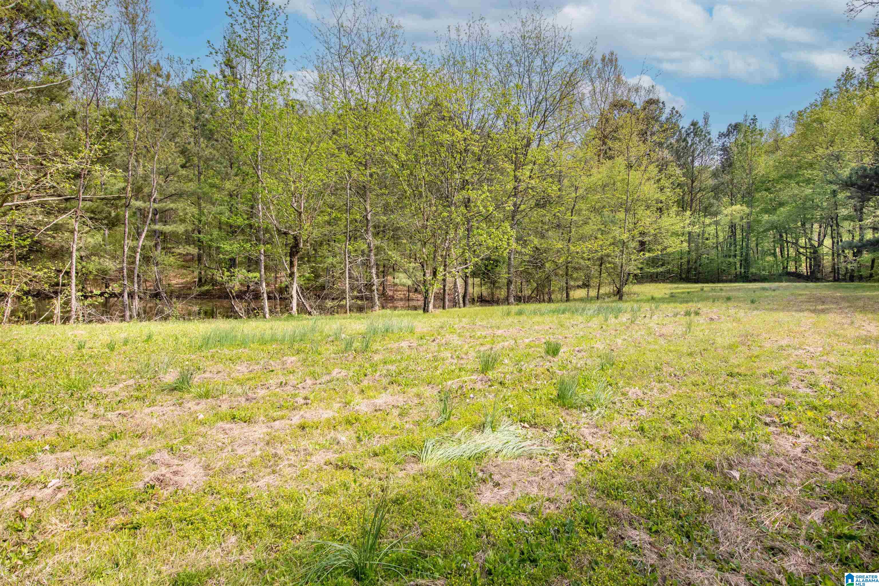 356 Beaver Ridge Circle Ashville, AL 35953 - Photo 39 of 40