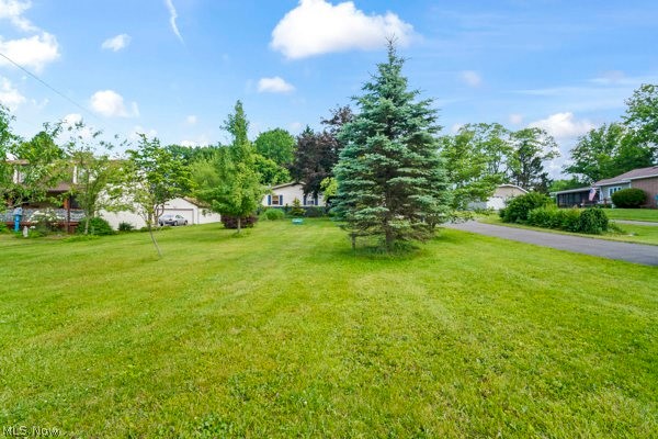 5030 Warren - Sharon Road Vienna, OH 44473 - Photo 27 of 50 Expansive grassy lawn with a mature evergreen tree and established landscaping