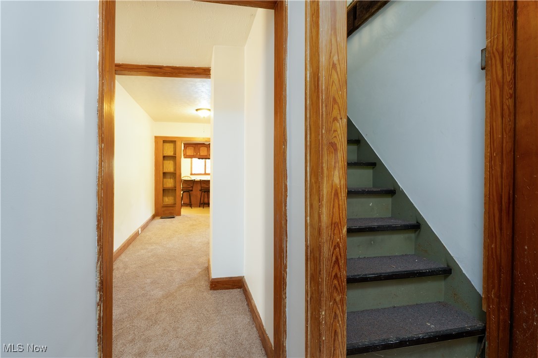 4491 Fox Road Kingsville, OH 44048 - Photo 16 of 33 Stairway featuring carpet floors