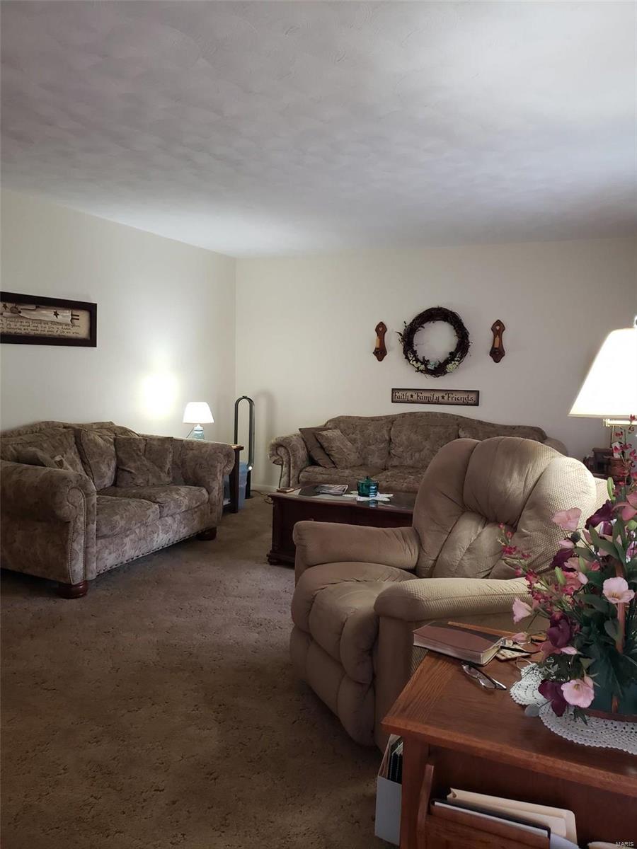 48 Smoketree Road Hillsboro, IL 62049 - Photo 8 of 22