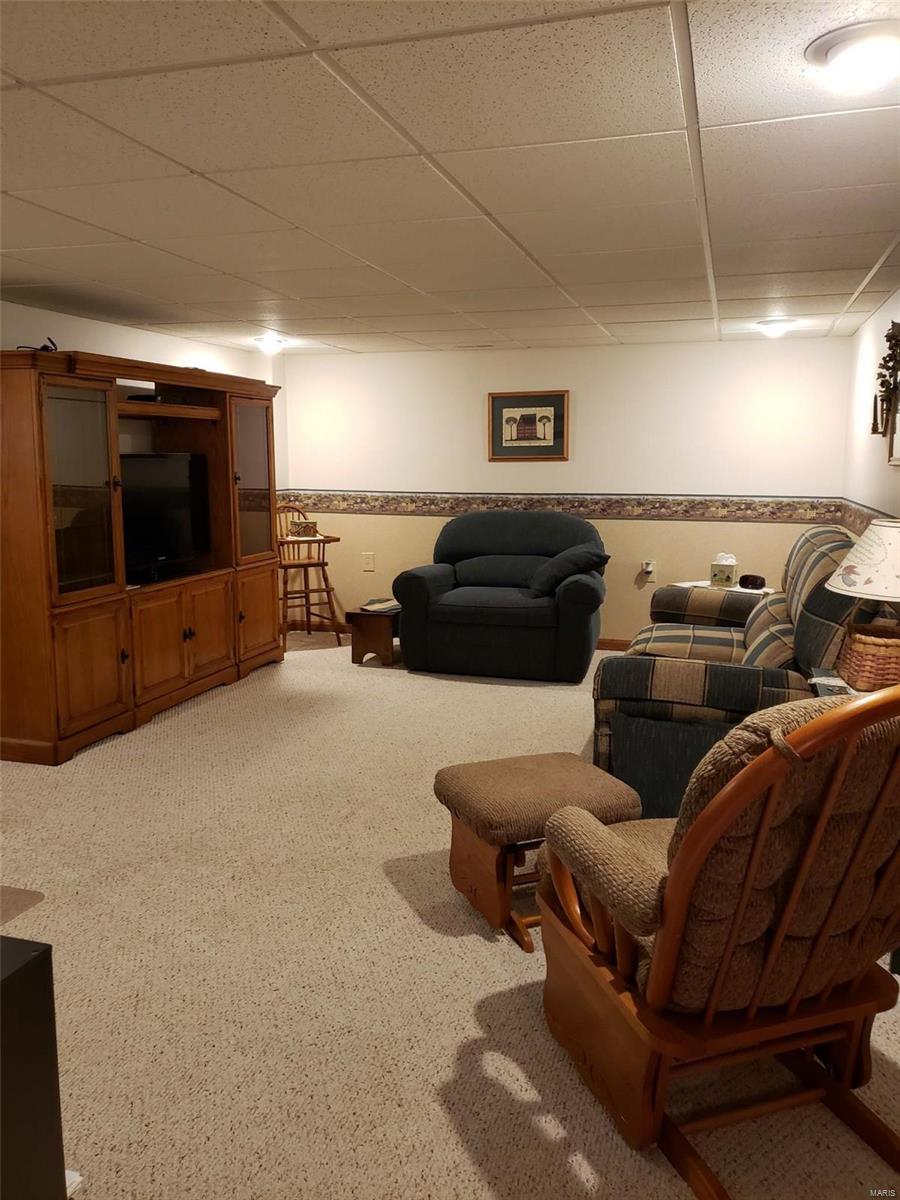 48 Smoketree Road Hillsboro, IL 62049 - Photo 9 of 22