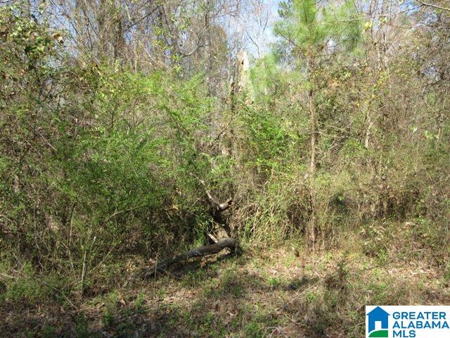 229 County Road, Unit 29 Thorsby, AL 35171 - Photo 10 of 23